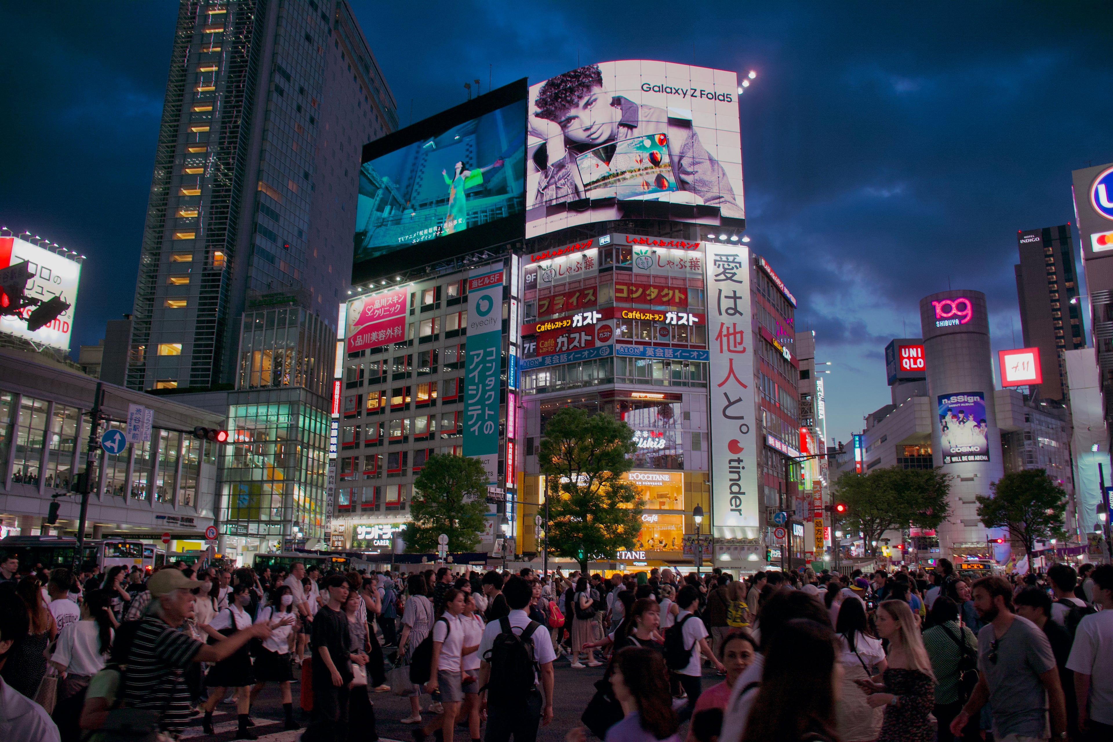 "Shibuya Xing"
