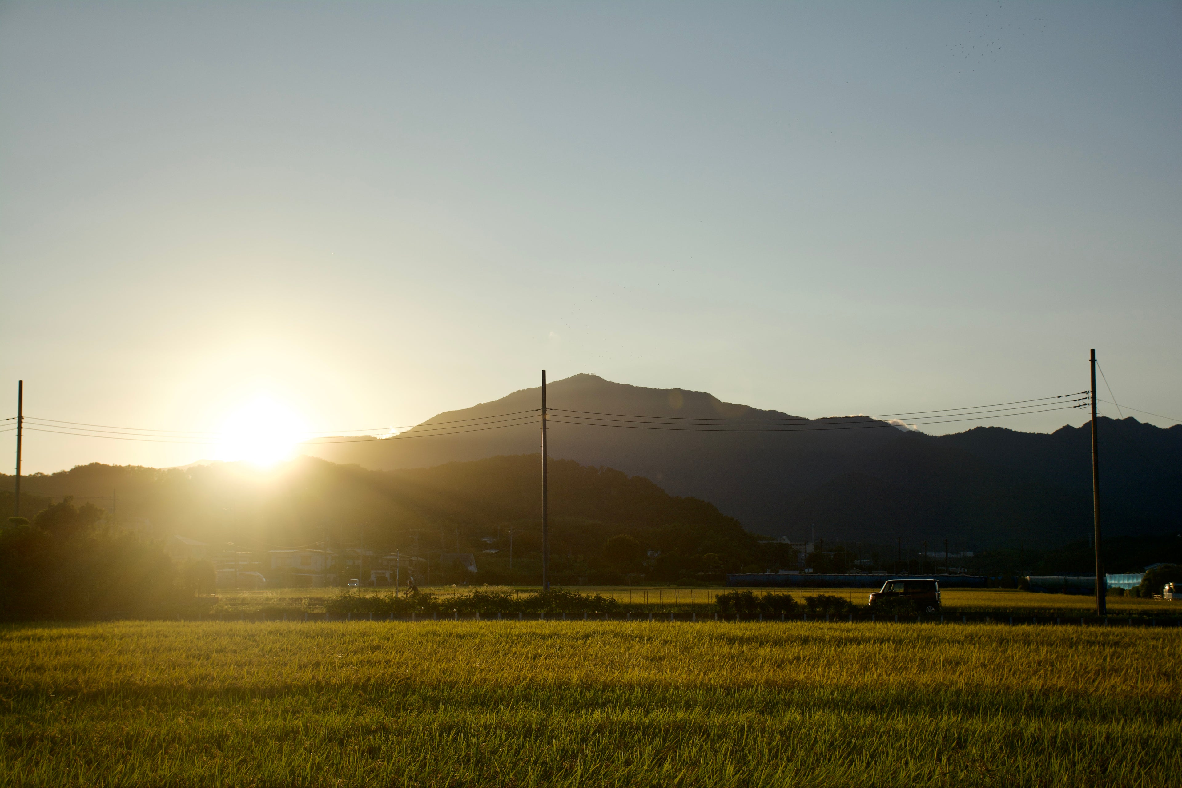 "Rising Sun"