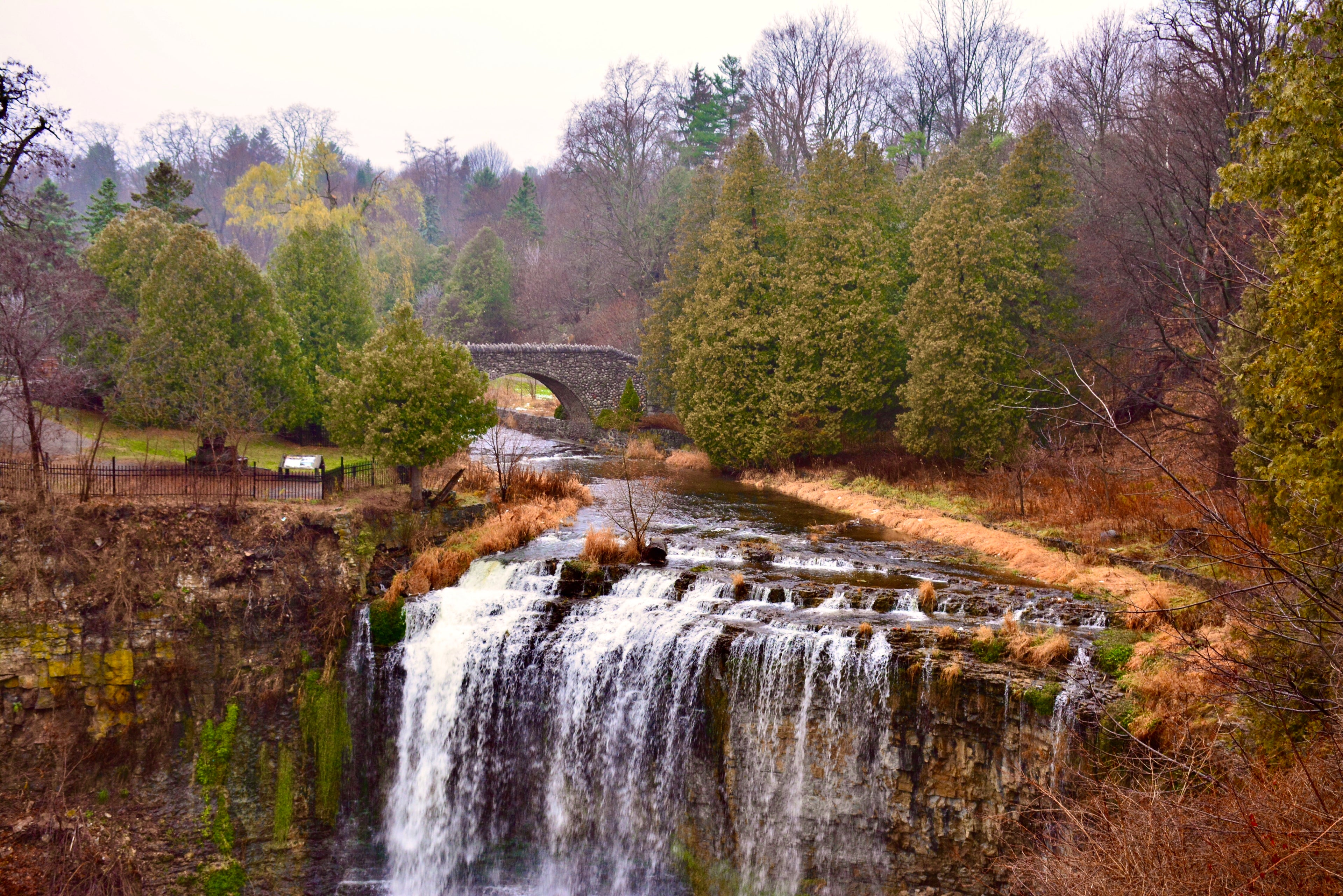 "Webster's Falls"